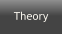 Theory